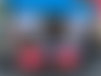 The Volunteers of Heritage Ohio McConnelsville.