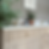 Thumbnail: THE BOURTON