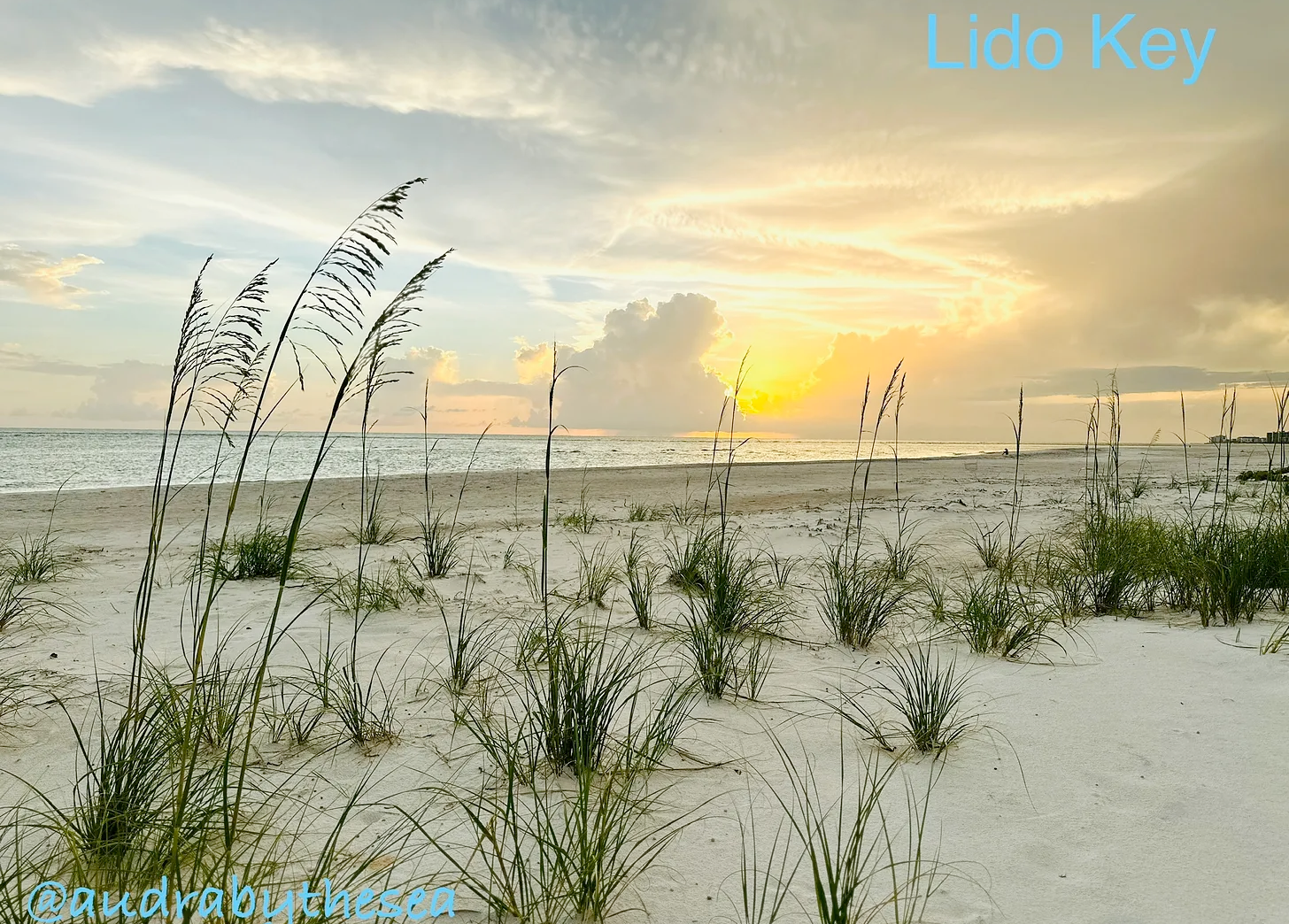 Sunset over Lido Key beach with sea oats on white sand and calm water; blue text reads Lido Key and @audrabythesea.