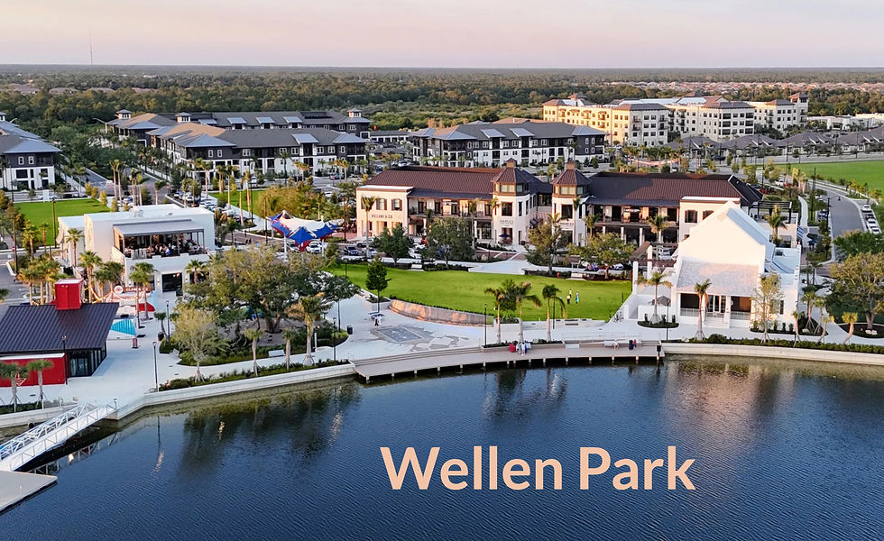 Aerial view of outdoor shopping district by a lake in a tropical setting.