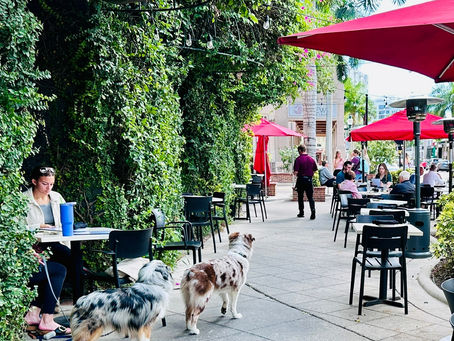 Outdoor dining with patio tables, chairs, umbrellas, and dogs.