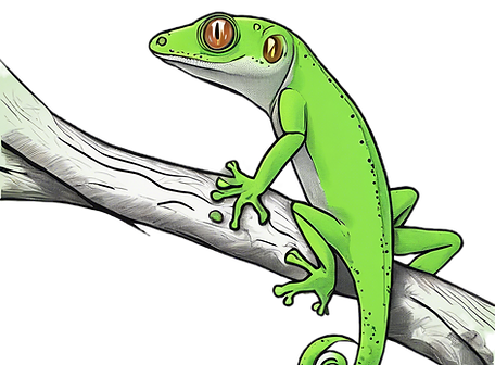 green gecko on a branch simple line drawing_edited.png