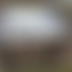 New interpretative signs on Great Allegheny Passage