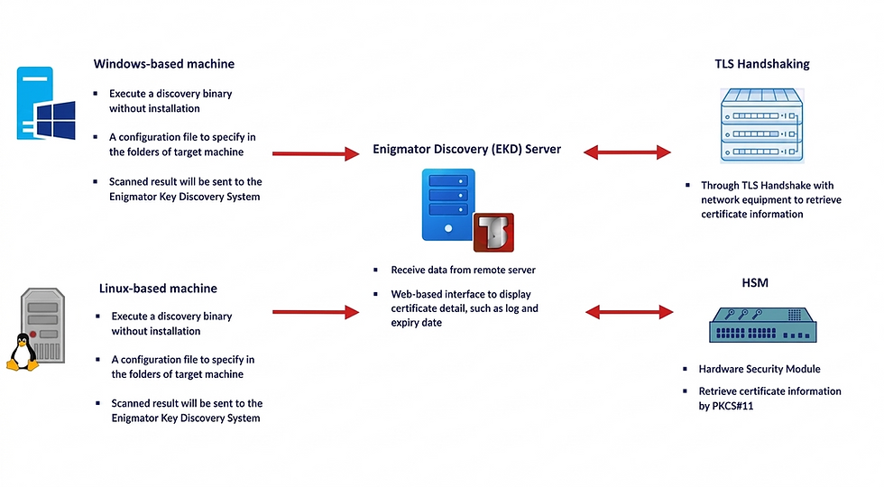 TSED flow diagram