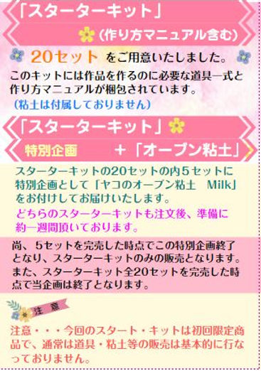 キャプチャ2.JPG