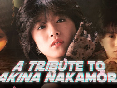 The Akina Nakamori Retrospective is now available !