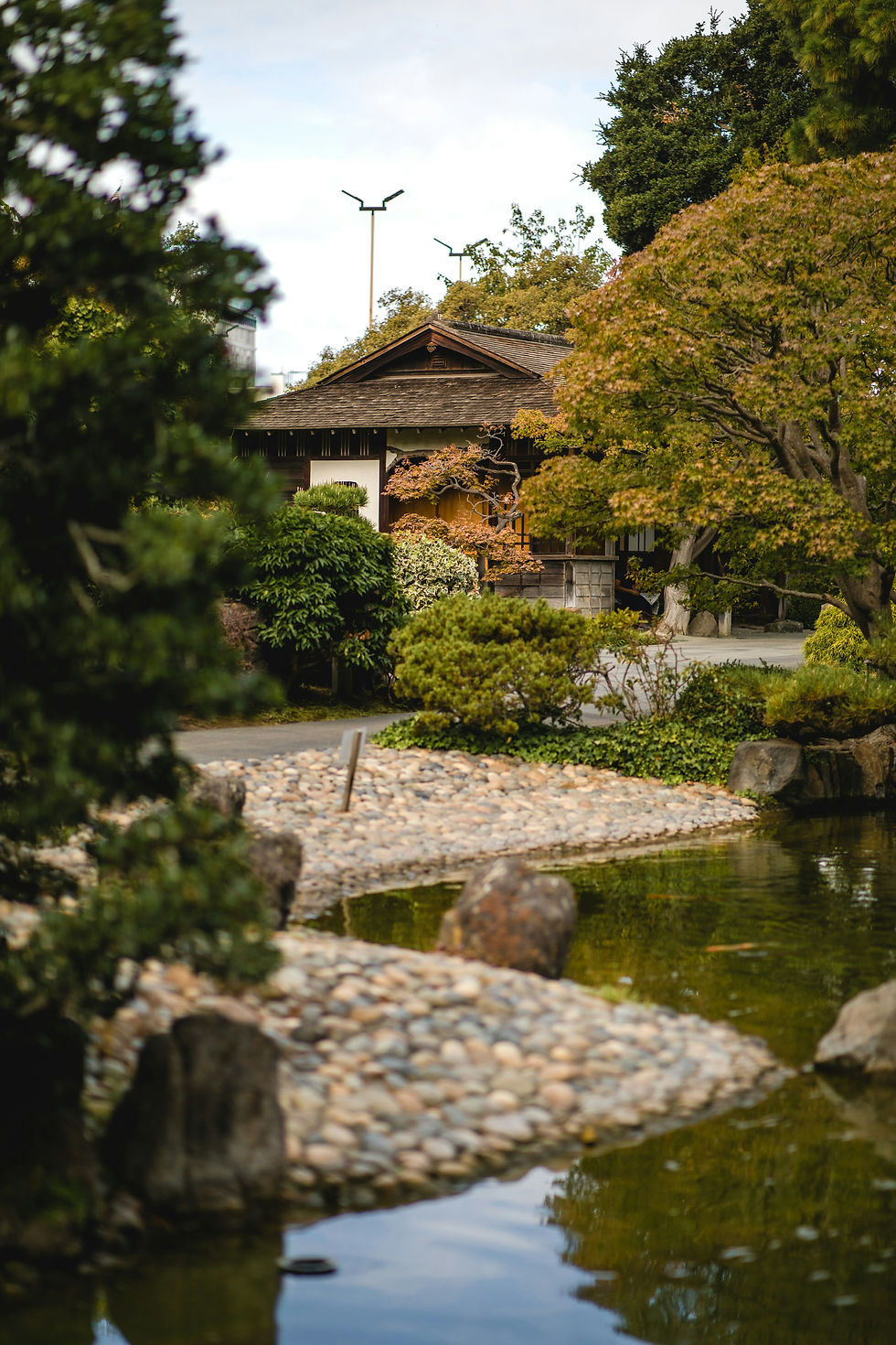 jason-leung-O8lq54jnWgQ-unsplash.jpg