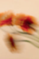 Juliet-Martine-Energy-Healer-Soul-Readings-Manifestation-Coach2025d.jpg