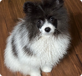 437940657_1123000875617601_819158427736215269_n-b23e545f-1920w 1.png