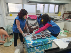KakaoTalk_Photo_2022-12-29-14-12-53 008