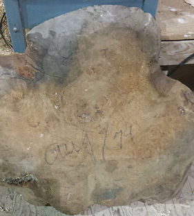Raw 1974 Burl Slab