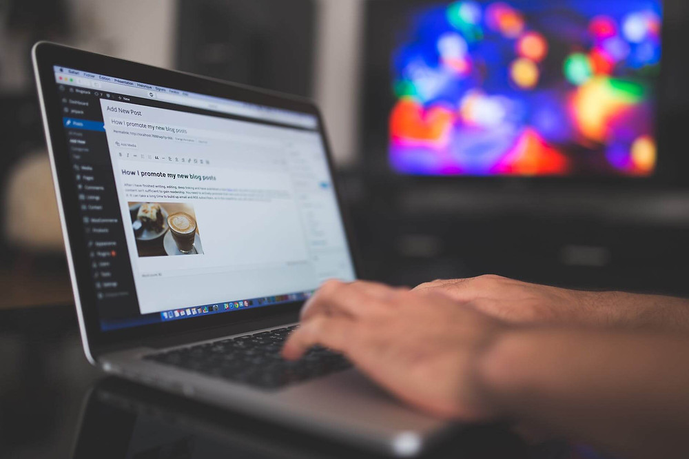 ragazzo che scrive un articolo sul suo blog al pc