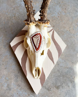 E81A4A5A-F451-432B-9762-85C9ABA11633