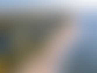 Aerial view of residential neighborhoods in the Hamptons, representing common zoning and permitting challenges faced by homeowners throughout East Hampton and Southampton when building, renovating, or expanding