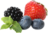 Fresh Fruit and Ingredients in Acai and Pitaya Bowls in Miami, Florida