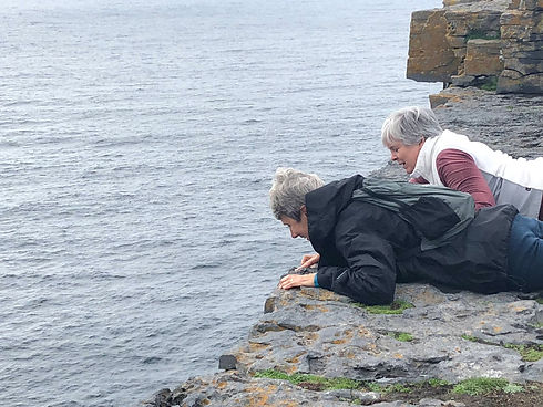 WEbsite Sue on cliff.HEIC