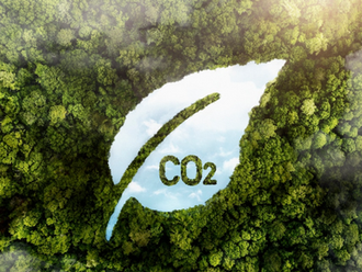 Vietnam receives $41 million from World Bank for forest carbon credits