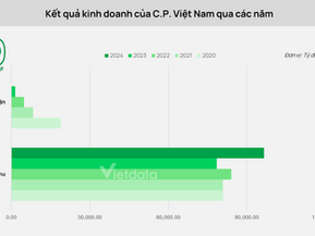 Chăn nuôi heo 2025: C.P dẫn đầu chuỗi giá trị, Masan mở rộng bán lẻ, BaF đẩy nhanh trại cao tầng, Hòa Phát phát triển đàn nái...