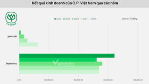 Chăn nuôi heo 2025: C.P dẫn đầu chuỗi giá trị, Masan mở rộng bán lẻ, BaF đẩy nhanh trại cao tầng, Hòa Phát phát triển đàn nái...