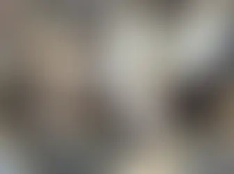 Trung Quốc mất cửa cá rô phi, ‘Vua cá tra’ Việt Nam nhảy vào nhanh chóng kiếm nghìn tỷ