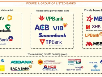 "Endoscopy" of Vietnamese bank non-performing loans
