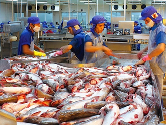 Vietnam pangasius export when supported by FTA CPTPP