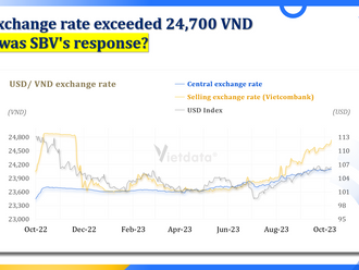 USD exchange rate exceeded 24,700 VND, what was SBV's response?