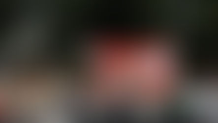 TPHCM: Ngập tràn sắc đỏ, cờ hoa, hân hoan chào mừng Đại hội Đại biểu Đảng bộ TPHCM