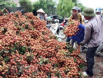 Vietnam aims for US$5 billion worth of fruit export by 2025 and $6.5 billion by 2030