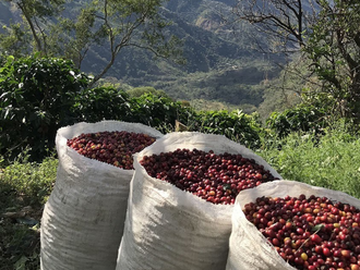 The stock of coffee Vietnam products has remained stagnant although the price is rising