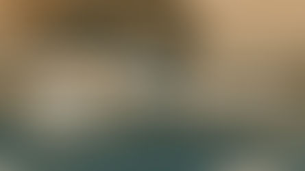 Báo cáo ngành Gỗ và sản phẩm gỗ - Q1/2025