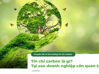 Subscribe to the Free Vietnam Carbon market report series