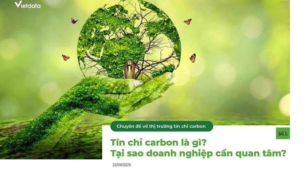 Subscribe to the Free Vietnam Carbon market report series