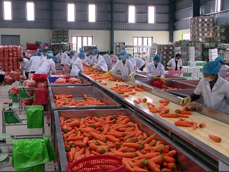 Vietnam exports 8.5 billion USD of goods to India
