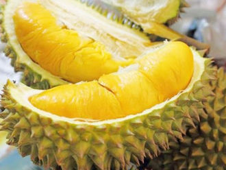 65% thị phần xuất khẩu rau quả của Việt Nam là Trung Quốc