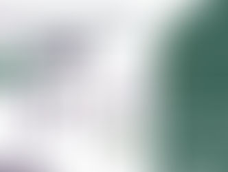 Wood & wood products industry report – Q3/2025