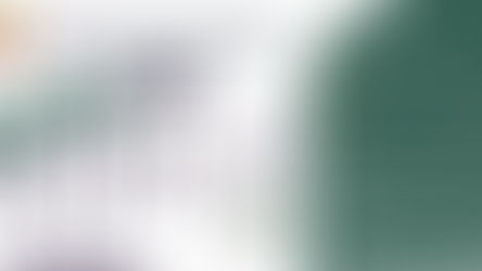 Wood & wood products industry report – Q3/2025