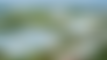 Đồng Nai xây dựng lộ trình di dời nhà máy vào các khu công nghiệp