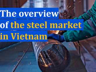 Vietnam Steel Market: Which enterprise holds the largest market share?