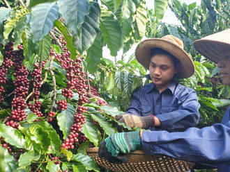 Sectors able to exceed their export revenue targets set early this year