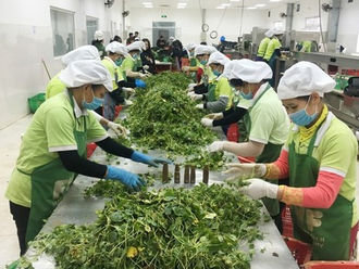 MARD is promoting traceability for every product, especially in export markets