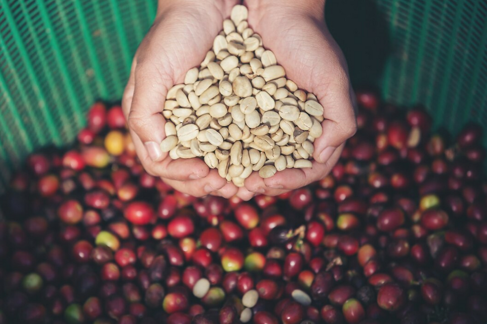 Xuất khẩu nông sản 2023