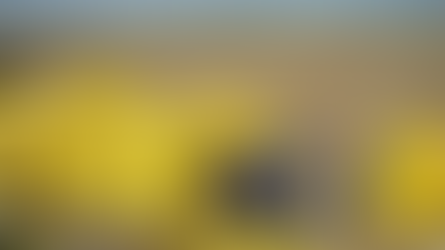 Vietnam's rice exports hit 15-year price high