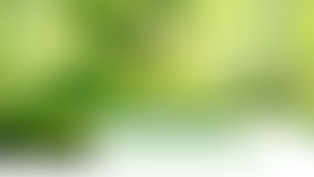 Vietnam Carbon market report - Series No.1: What are Carbon credits? Why should businesses care?