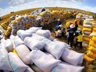 Vietnam's export of rice in 2022, the second-highest export volume in the country's history