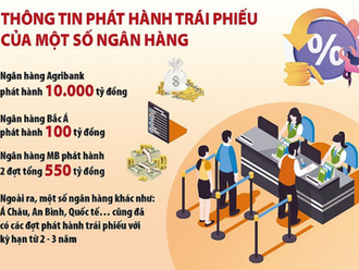 Ngân hàng tăng huy động trái phiếu kỳ hạn dài vì chịu sức ép rủi ro