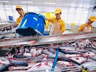 The Mekong Delta expects to earn over 980 million USD from tra fish exports
