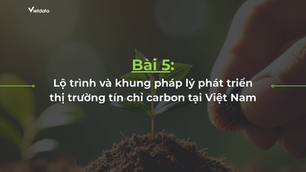 Chuyên đề về thị trường Carbon Kỳ 5: Lộ trình và khung pháp lý phát triển thị trường tín chỉ Carbon tại Việt Nam