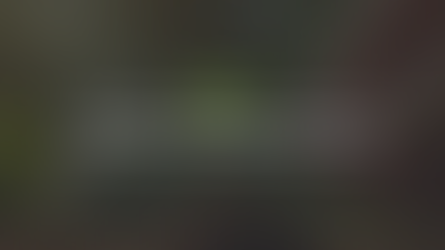 Chuyên đề về thị trường Carbon Kỳ 5: Lộ trình và khung pháp lý phát triển thị trường tín chỉ Carbon tại Việt Nam