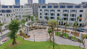 Stock trading is suspended, how is the "health" of Hai Phat and Apax Holdings?